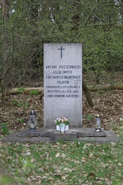 Pomnik Antoniego Pasternackiego