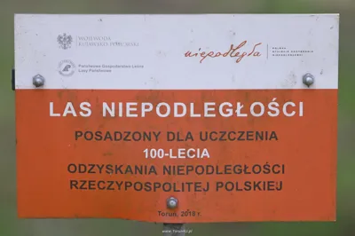 Tablica pamiątkowa Las Niepodległości